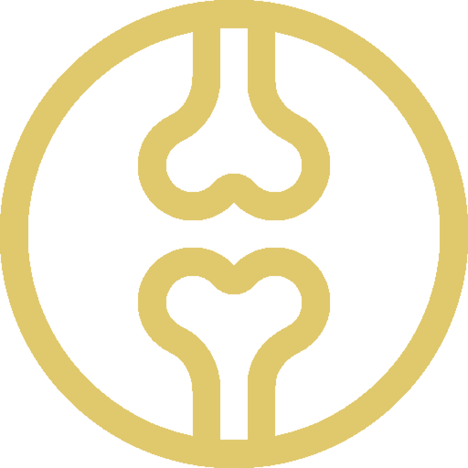 Orthopedics-------=====2